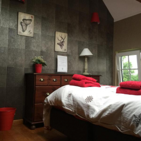 Le Papillon d'or, Arlon